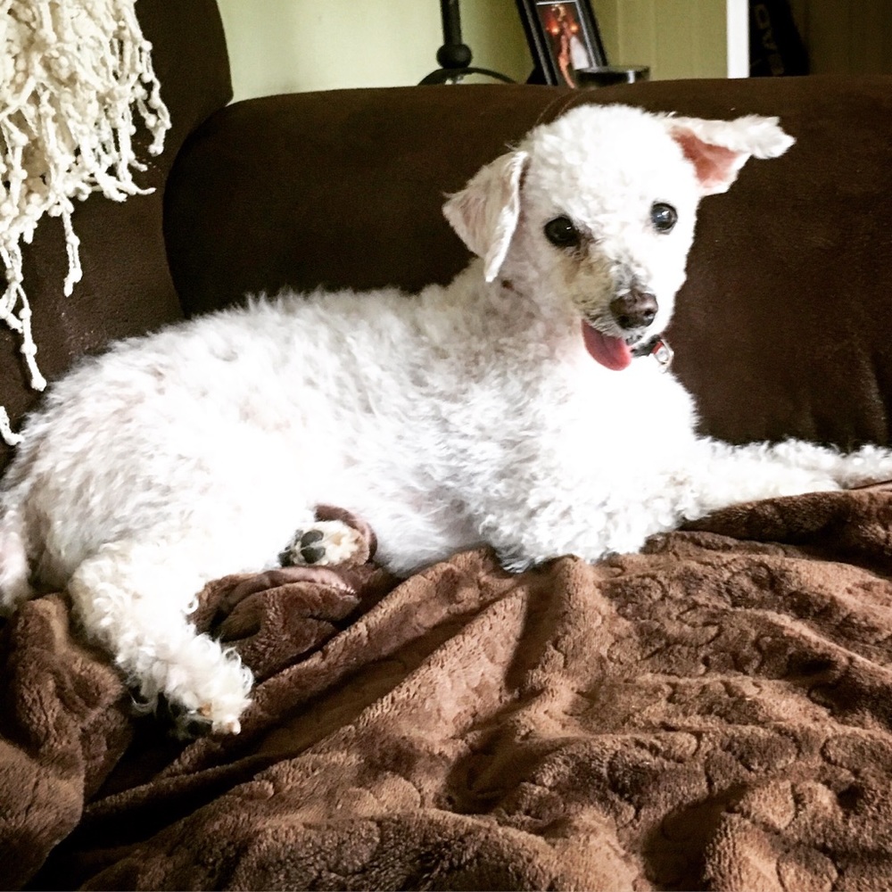 Meet your Posher, Lindsay